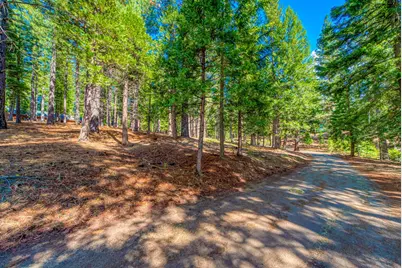 954 Red Fox Road, Clio, CA 96106 - Photo 1