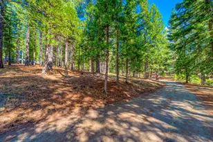 954 Red Fox Rd, Clio, CA 96106 - Photo 1