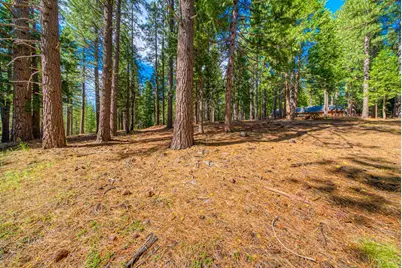 954 Red Fox Road, Clio, CA 96106 - Photo 13