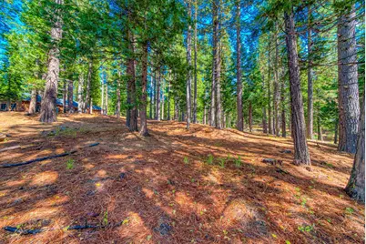 954 Red Fox Road, Clio, CA 96106 - Photo 7