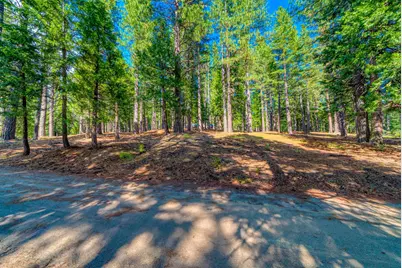954 Red Fox Road, Clio, CA 96106 - Photo 19