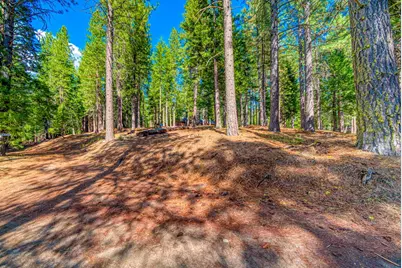 954 Red Fox Road, Clio, CA 96106 - Photo 3