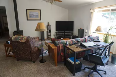 141 Forest View Drive, Quincy, CA 95971 - Photo 3