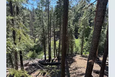 Lot 10 Willow Creek Homesites, Chester, CA 96020 - Photo 29