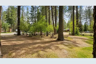 204 Poplar Valley Road, Blairsden, CA 96103 - Photo 49