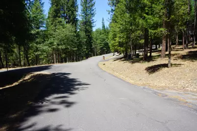 397 Main Ranch Road, Quincy, CA 95971 - Photo 15