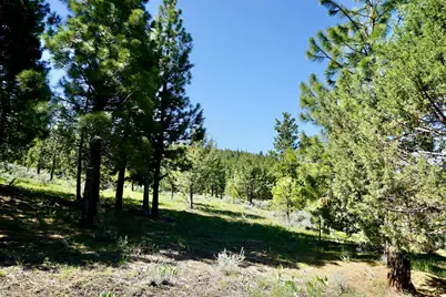 1034 Great Spirit GM#16, Portola, CA 96122 - Photo 11