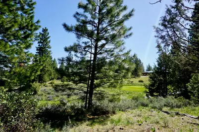 1034 Great Spirit GM#16, Portola, CA 96122 - Photo 3