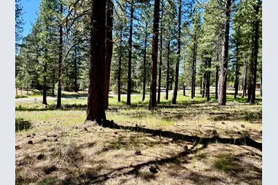 1855 Valley Ranch Drive, Clio, CA 96106 - Photo 19