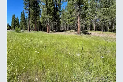 1855 Valley Ranch Drive, Clio, CA 96106 - Photo 5