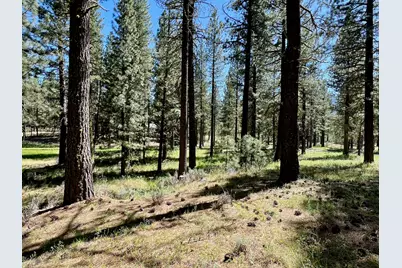 1855 Valley Ranch Drive, Clio, CA 96106 - Photo 23