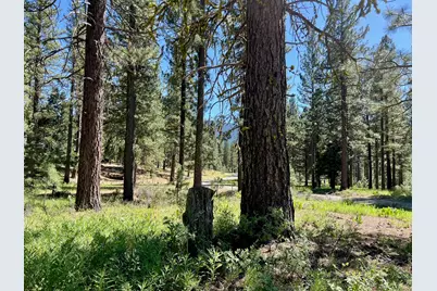 1855 Valley Ranch Drive, Clio, CA 96106 - Photo 27
