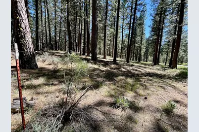 1855 Valley Ranch Drive, Clio, CA 96106 - Photo 15