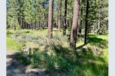 1855 Valley Ranch Drive, Clio, CA 96106 - Photo 7