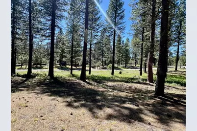 1855 Valley Ranch Drive, Clio, CA 96106 - Photo 17