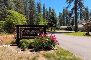 102 Ponderosa Dr, Blairsden, CA 96122 - Photo 31