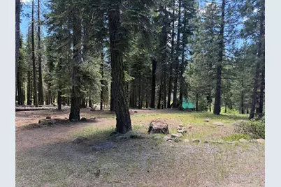 #20 Willow Creek Homesites, Chester, CA 96020 - Photo 39