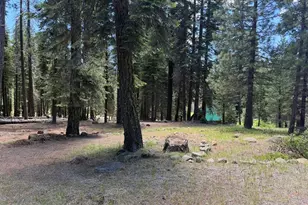 #20 Willow Creek Homesites, Chester, CA 96020 - Photo 39