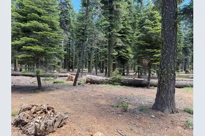 #20 Willow Creek Homesites, Chester, CA 96020 - Photo 35