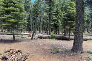 #20 Willow Creek Homesites, Chester, CA 96020 - Photo 35