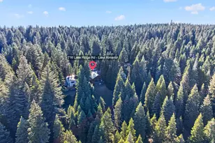 716 Lake Ridge Rd, Lake Almanor, CA 96137 - Photo 35