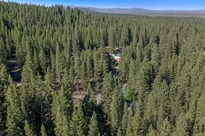 305 Mountain View Drive, Calpine, CA 96124 - Photo 41
