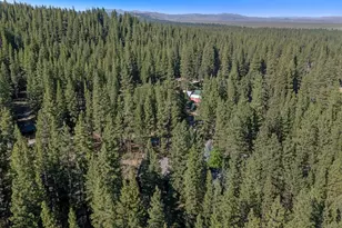 305 Mountain View Dr, Calpine, CA 96124 - Photo 41