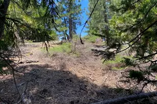 5961 W Bitterbrush Rd, Portola, CA 96122 - Photo 1