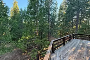 1690 Silver Fox Ln, Clio, CA 96122 - Photo 33