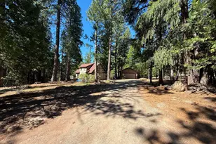 1690 Silver Fox Ln, Clio, CA 96122 - Photo 41