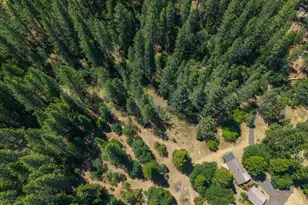 17700 Mount Hough Rd, Greenville, CA 95947 - Photo 29