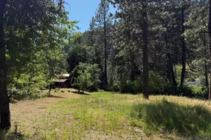 169 Riverview Ln, Twain, CA 95984 - Photo 35