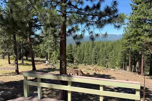 69067 Porcupine Rd, Blairsden, CA 96103 - Photo 9