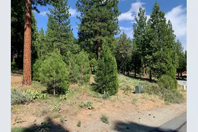 678 Blacktail Ridge, Portola, CA 96122 - Photo 3
