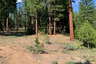 678 Blacktail Ridge, Portola, CA 96122 - Photo 1