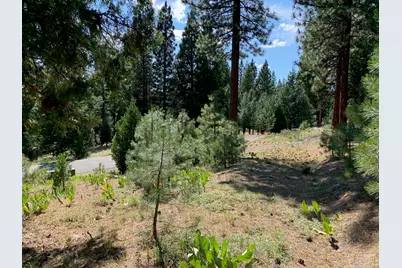 678 Blacktail Ridge, Portola, CA 96122 - Photo 7
