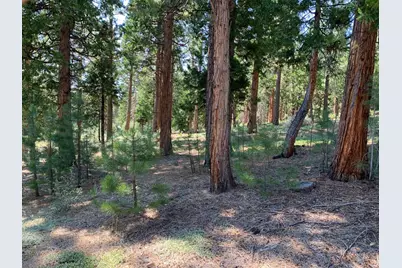 678 Blacktail Ridge, Portola, CA 96122 - Photo 9