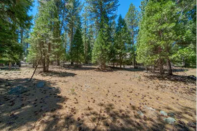 1 Huchnom Trail, Graeagle, CA 96103 - Photo 47