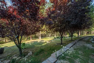 566 Main Ranch Road, Quincy, CA 95971 - Photo 7