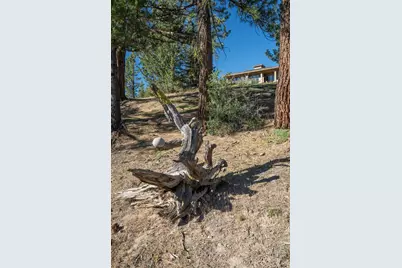 905 Dancing Bears, Portola, CA 96122 - Photo 37