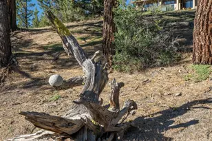 905 Dancing Bears, Portola, CA 96122 - Photo 37
