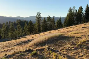 905 Dancing Bears, Portola, CA 96122 - Photo 33