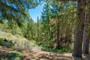 2170 Mourning Dove Ln, Clio, CA 96106 - Photo 39