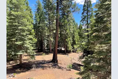121 Top Of The West Drive, Chester, CA 96020 - Photo 21