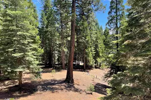 121 Top of the W Dr, Chester, CA 96020 - Photo 21