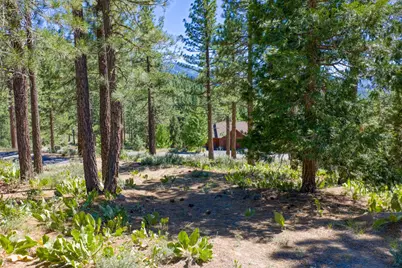 1924 Grizzly Ranch Road, Portola, CA 96122 - Photo 9