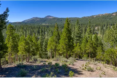 1924 Grizzly Ranch Road, Portola, CA 96122 - Photo 3