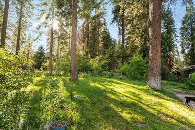 1223 White Fir Road, Lake Almanor, CA 96137 - Photo 41