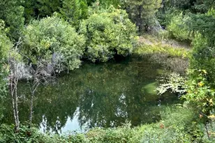 1468 12 Mile Bar Rd, Twain, CA 95984 - Photo 43