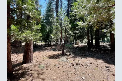 83 Paiute Trail, Graeagle, CA 96103 - Photo 11